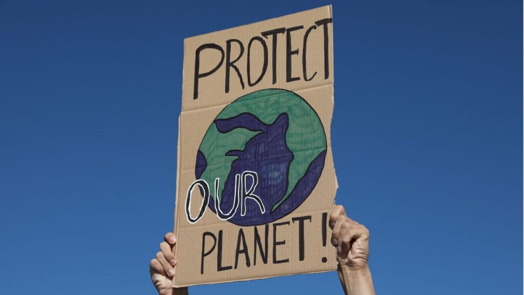 Protect Our Planet Cardboard Sign